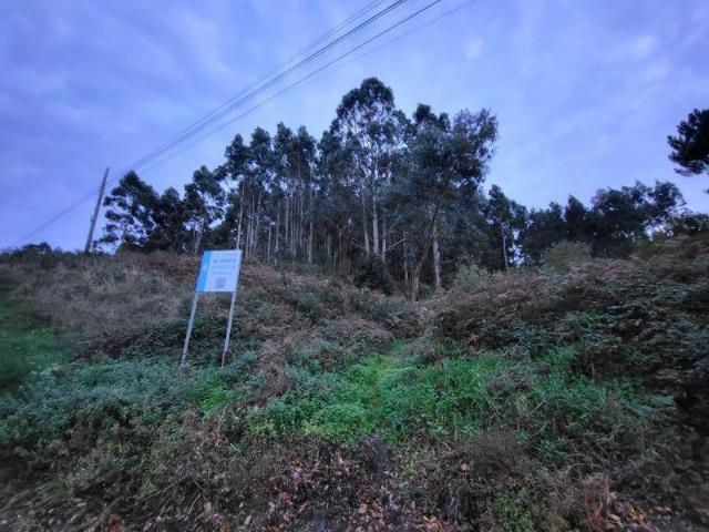 Terreno en venta en Lugo, Galicia