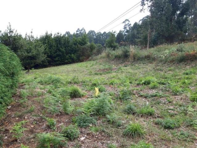 Terreno en venta en Lugo, Galicia