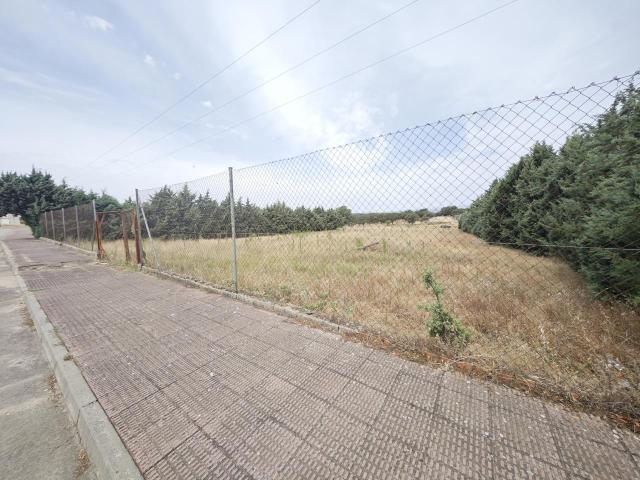Terreno en venta en Majadas, Extremadura