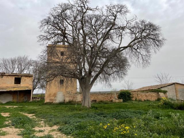Terreno en venta en Son Gotleu, Palma