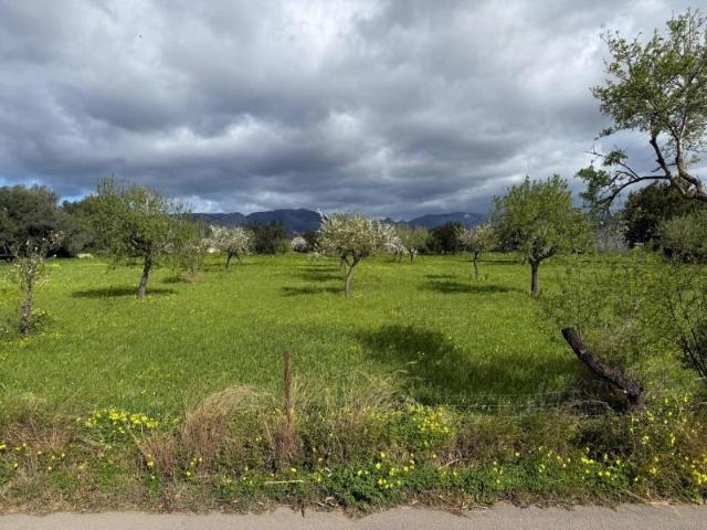Terreno en venta en Son Espanyol, Palma