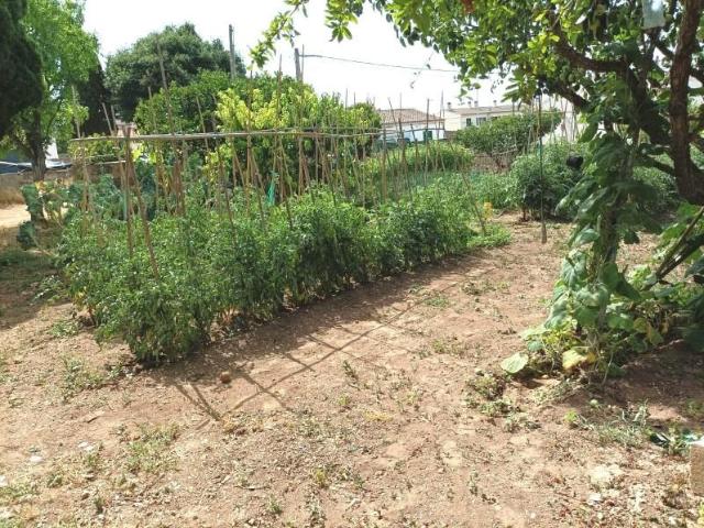Terreno en venta en Son Roqueta, Palma