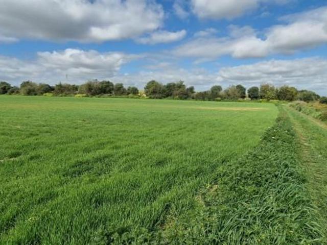 Terreno en venta en Manacor, Llevant