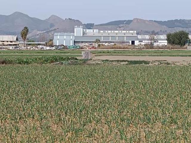 Terreno en venta en Comarca de la Vega de Granada, Andalucía