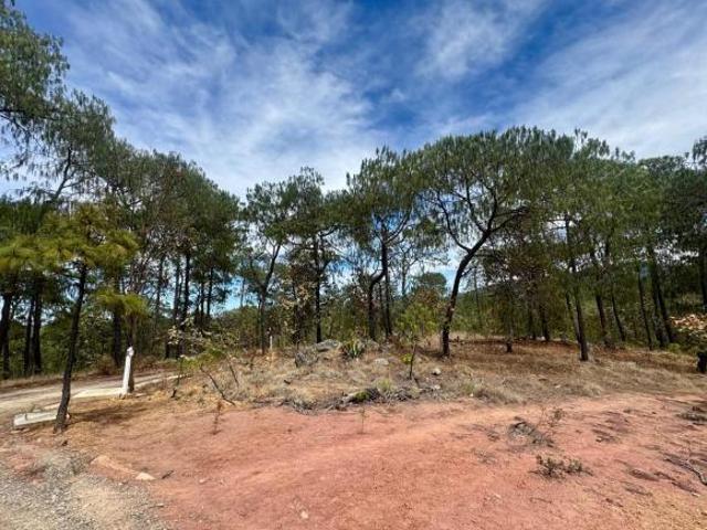 Terreno en venta en Chiquilistlán, Región Sierra de Amula