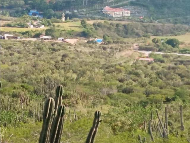 Terreno en venta en El Anís, Municipio Sucre