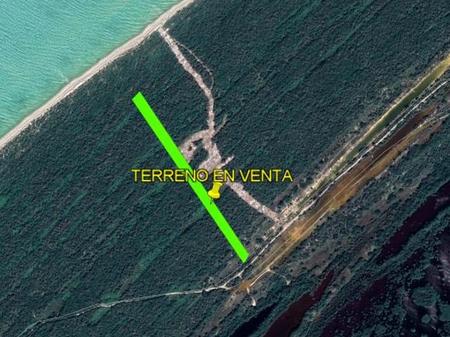 TERRENO EN VENTA MÉRIDA, FRENTE A LA PLAYA EL PALMAR