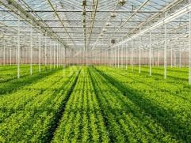 Terreno en venta en Mezquitilla, La Axarquía