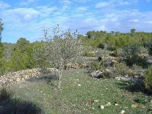 Terreno en venta en La Canal de Navarrés, Valencia