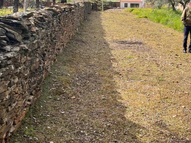 Terreno en venta en Mirabel, Extremadura