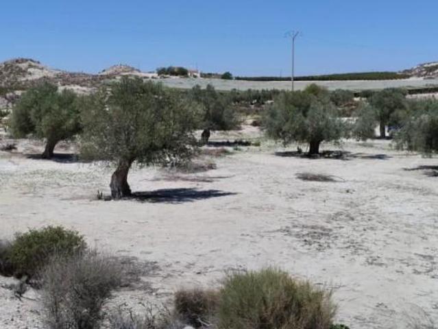 Terreno en venta en La Espada, Vega Media del Segura