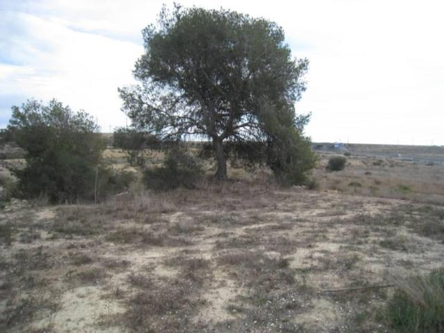 Terreno en venta en Urbanización Alenda Golf, el Vinalopó Mitjà / El Vinalopó Medio