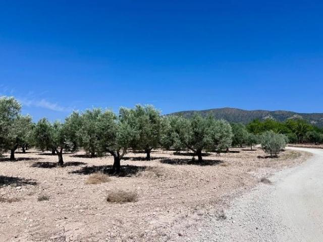 Terreno en venta en les Canyades de Don Ciro, el Vinalopó Mitjà / El Vinalopó Medio