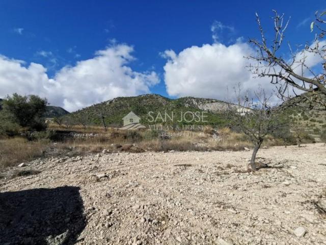 Terreno en venta en el Manyar, el Vinalopó Mitjà / El Vinalopó Medio