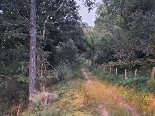 Terreno en venta en Barrio de Arriba, Riotuerto