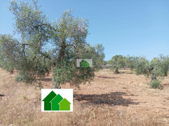 Terreno en venta en Montijo, Extremadura