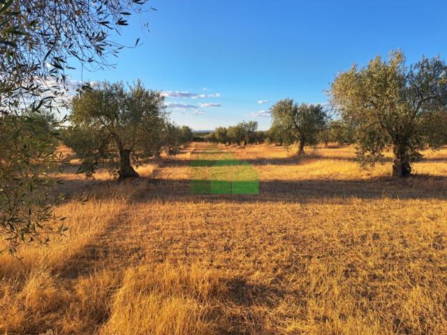 Terreno en venta en Montijo, Extremadura
