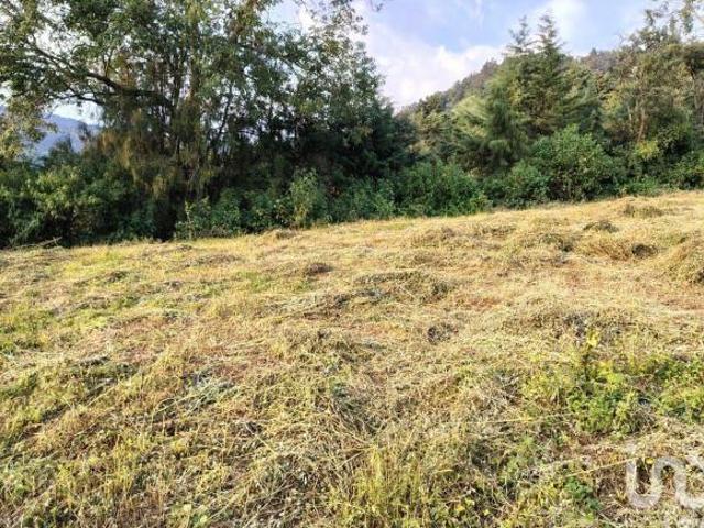 Terreno en venta en Tenancingo, Estado de México