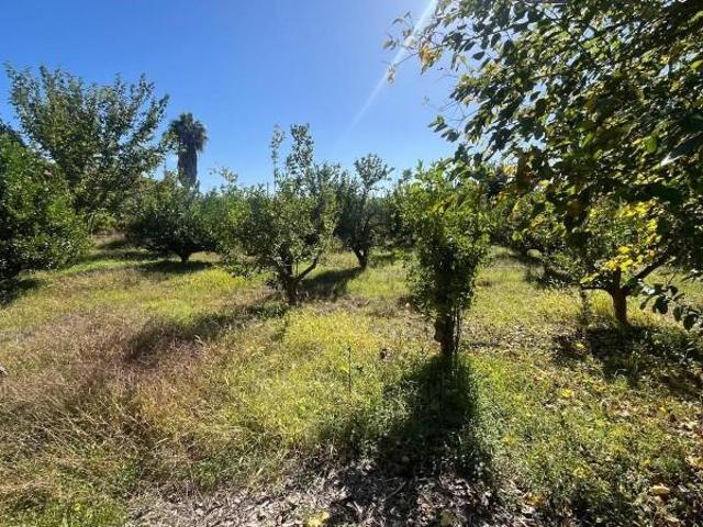 Terreno en venta en Guadalupe, Área Metropolitana de Murcia