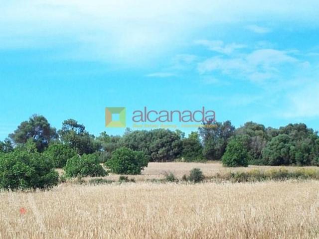 Terreno en venta en Pla de Mallorca, Baleares
