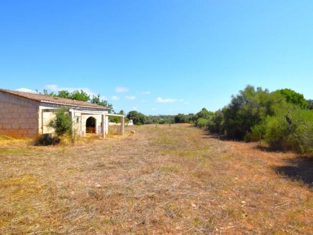 Casa en venta en Pla de Mallorca, Baleares