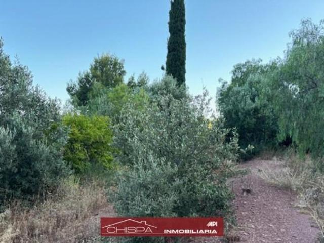 Terreno en venta en el Camp de Túria, Valencia