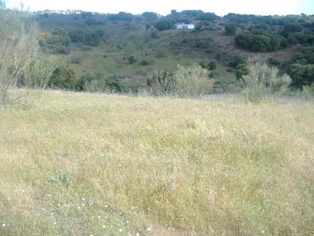 Terreno en venta en Pozuelo De Alarcón, Madrid