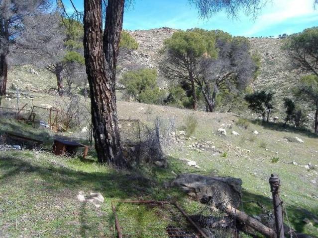 Terreno en venta en Pelayos De La Presa