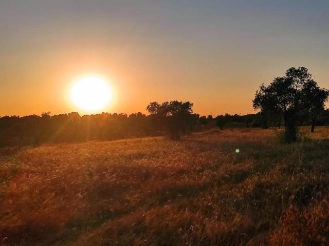Terreno en venta en El Condado, Andalucía
