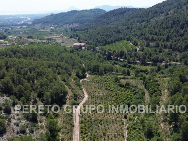 Terreno en venta en la Safor, Valencia