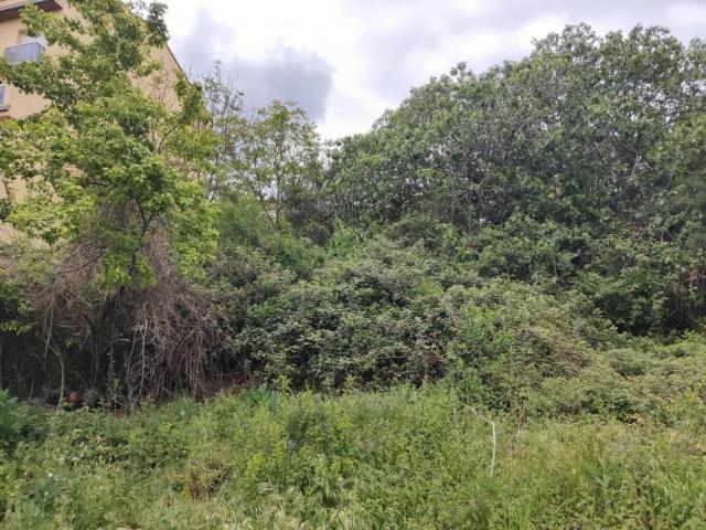Terreno en venta en Garrotxa, Catalunya