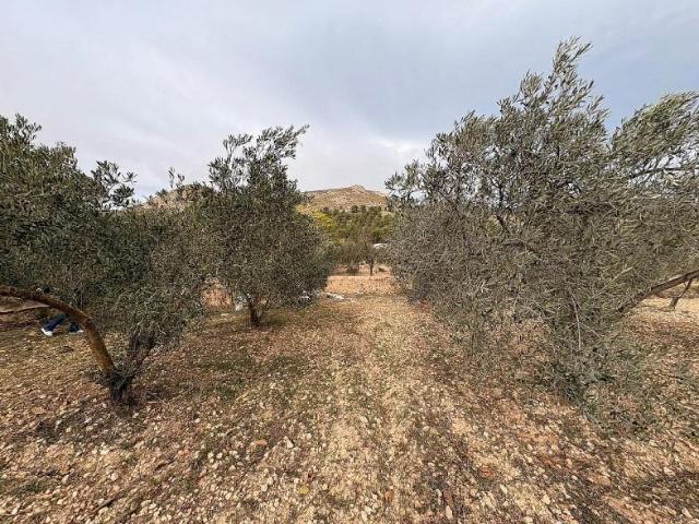 Terreno en venta en Onil, Valencia