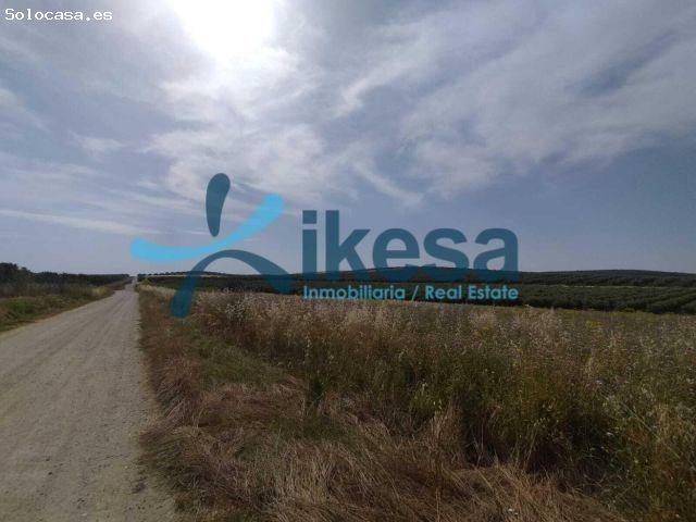 Local Comercial en venta en El Carpio, Andalucía