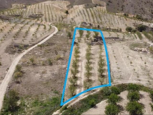 Terreno en venta en Valle del Almanzora, Andalucía