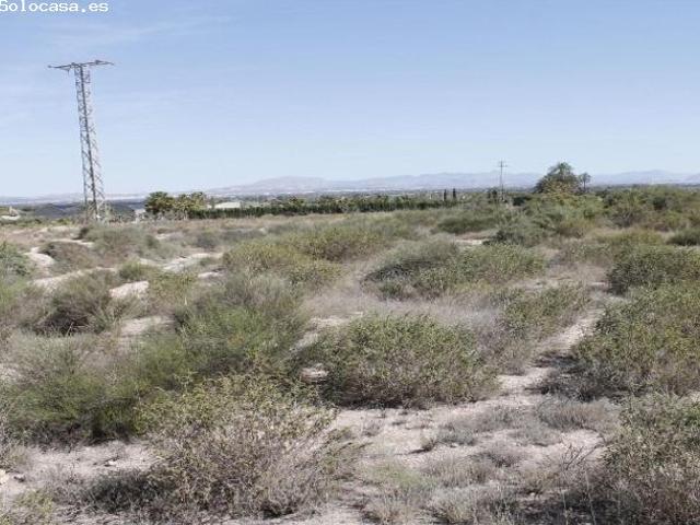 Local Comercial en venta en la Marina, el Baix Vinalopó
