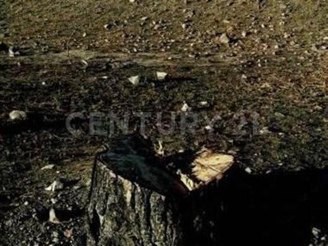 Banco de materiales en Las Derrumbadas Puebla