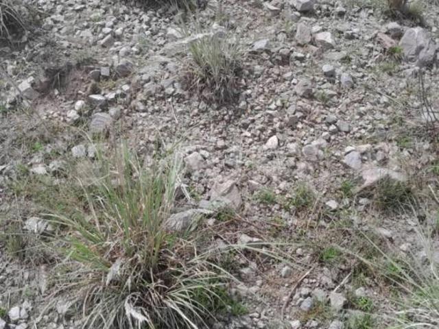 Terreno para extraer materiales para la construccion Guadalupe Victoria Puebla