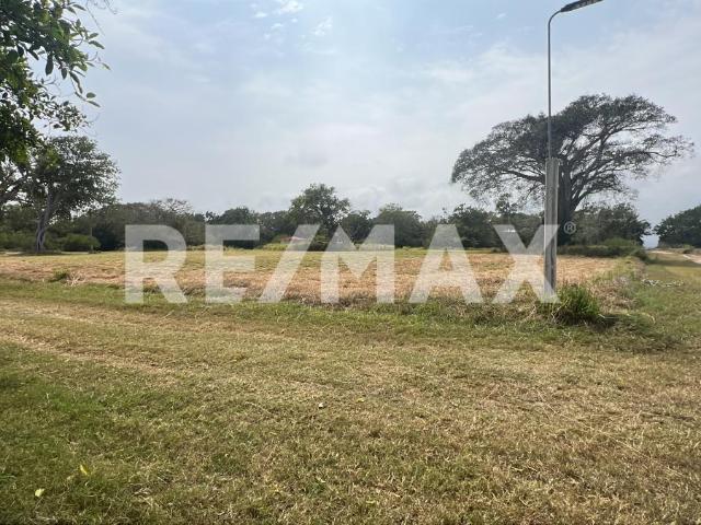 Terreno en venta en Aldama, Tamaulipas