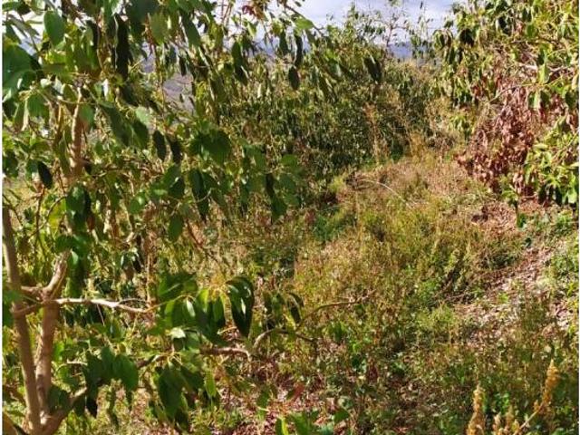 Terreno en venta en Periana, Málaga