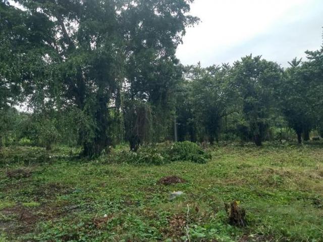 Terreno en venta en Pichucalco, Chiapas