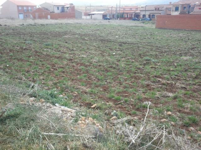 Terreno en venta en Piedrabuena, Castilla-La Mancha