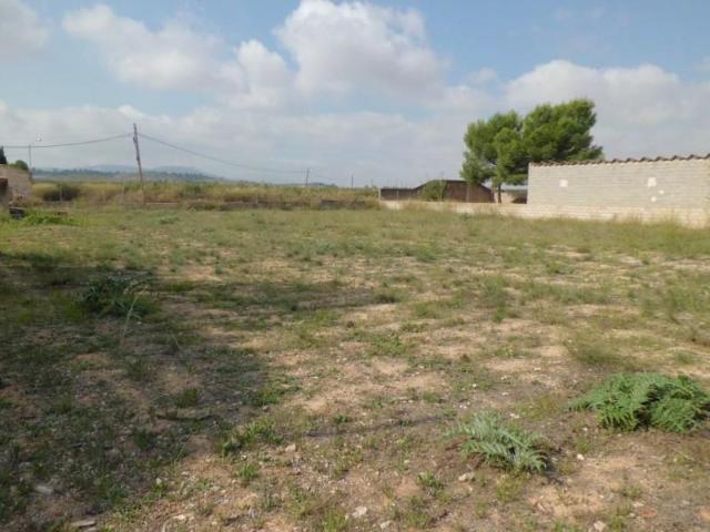 Terreno en venta en El Rodriguillo, el Vinalopó Mitjà / El Vinalopó Medio