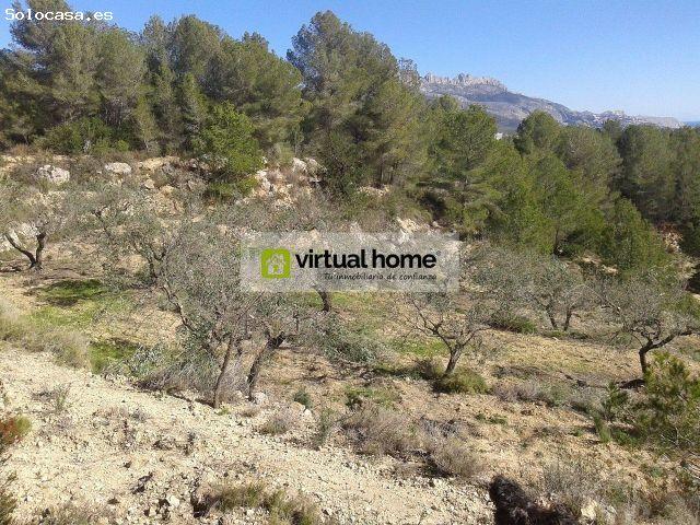 Local Comercial en venta en la Marina Baixa, Valencia