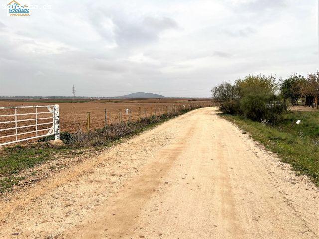 Local Comercial en venta en Don Benito, Badajoz