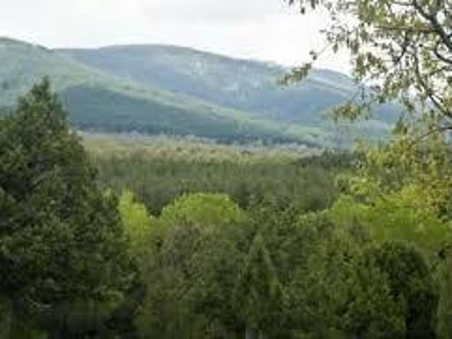 Terreno en venta en Ochavo de Prádena, Prádena