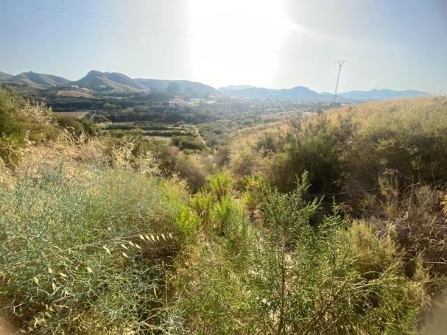 Terreno en venta en El Alamillo, Bajo Guadalentín