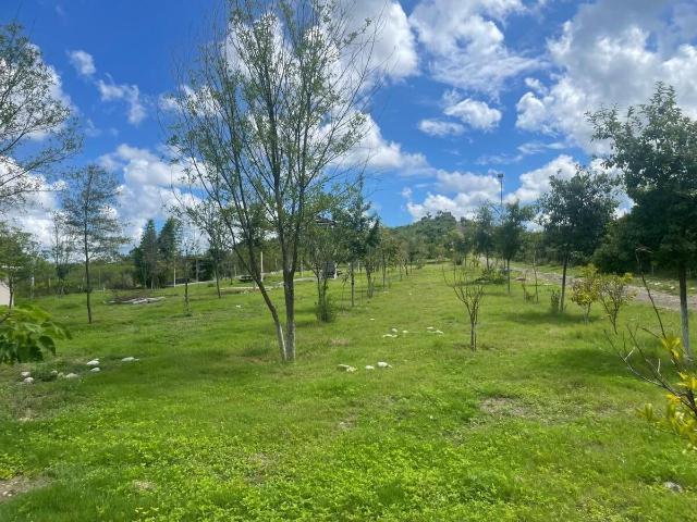 Rancho en venta en Montemorelos