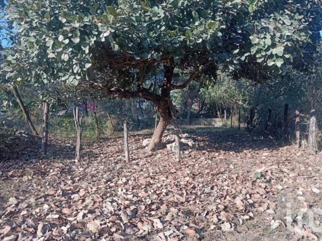 Terreno en venta en Ixtapa, Región Costa Norte