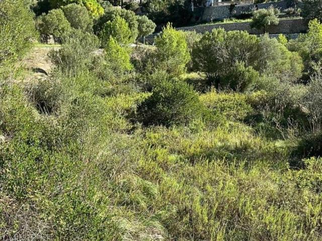 Terreno en venta en Serra de Tramuntana, Baleares