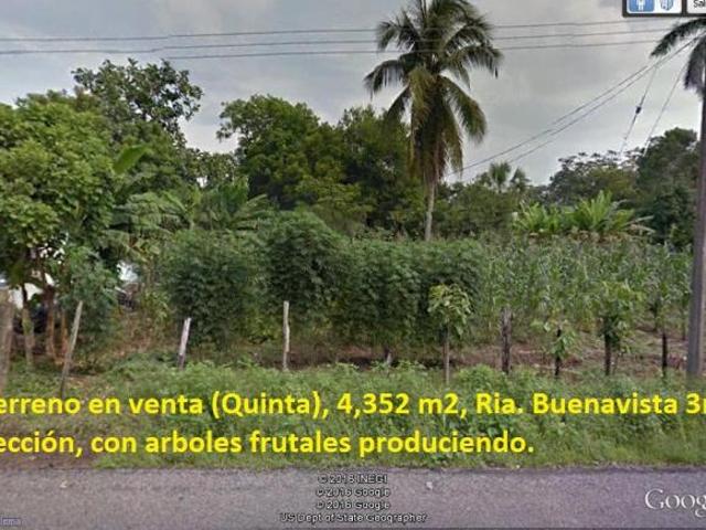 Terreno en venta Quinta, Rancheria Buenavista 3ra. Sección, arboles frutales